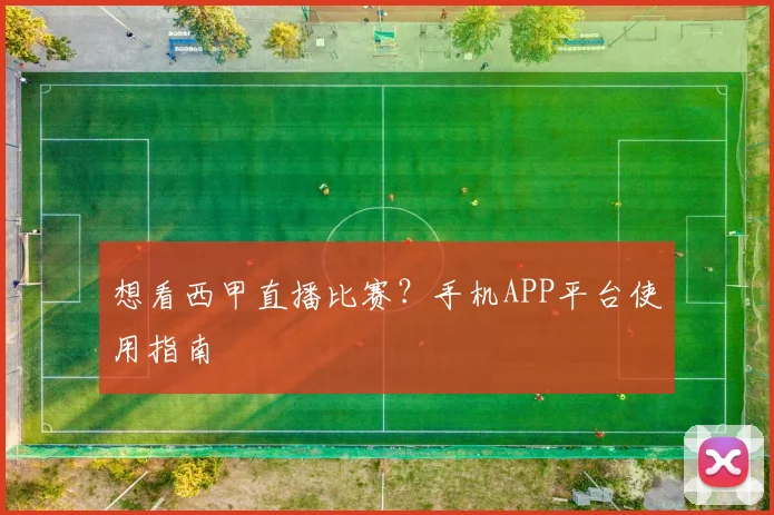 想看西甲直播比赛？手机APP平台使用指南