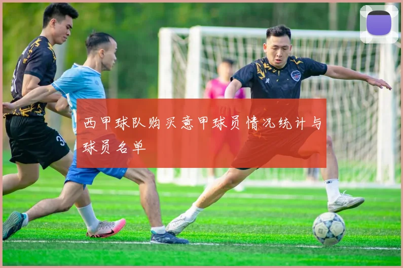 西甲球队购买意甲球员情况统计与球员名单