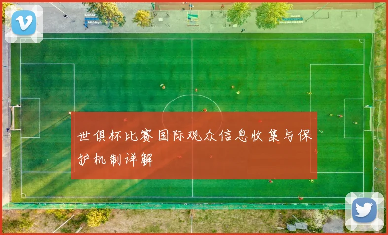 世俱杯比赛国际观众信息收集与保护机制详解