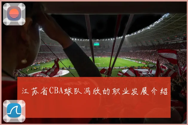 江苏省CBA球队冯欣的职业发展介绍